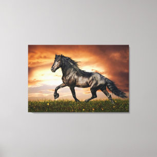 black horse canvas print