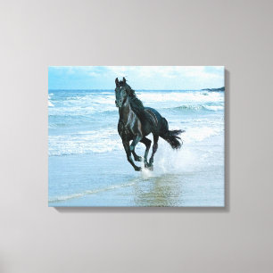 Black Horse canvas print