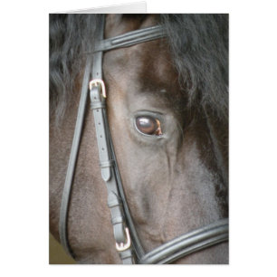 Black horse card
