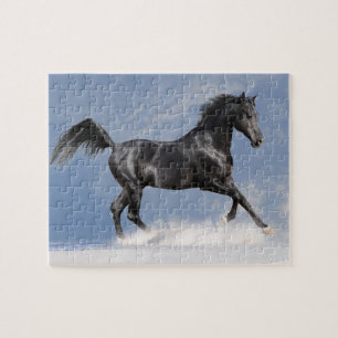 Black Horse Game Puzzle
