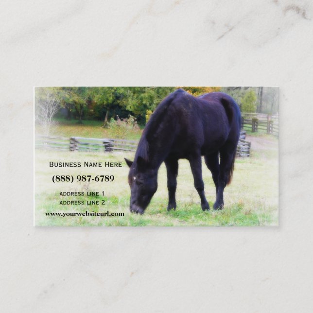 Black Horse Grazing Business Card (Front)
