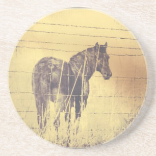 Black Horse Grunge Coaster