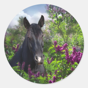 Black horse in lilacs classic round sticker