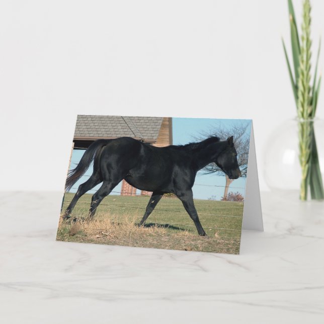Black Horse Named Jack Card (Front)