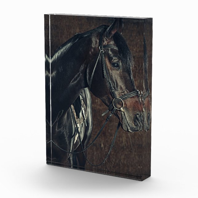 Black Horse  Photo Block (Right)