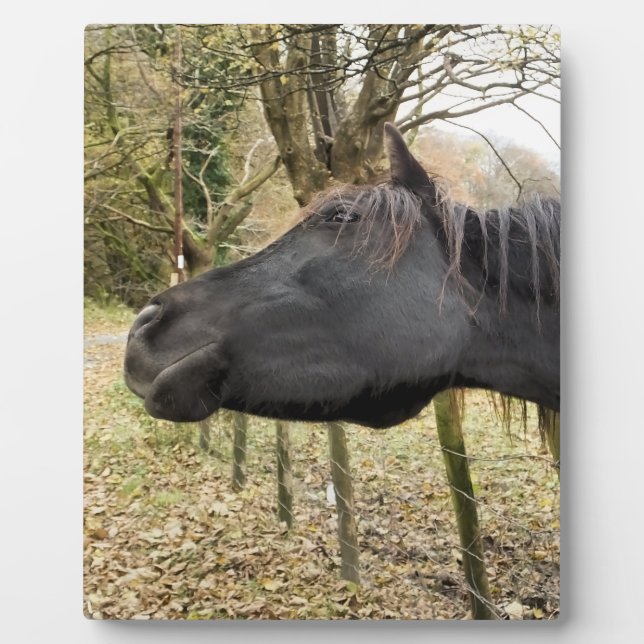 BLACK HORSE PLAQUE (Front)
