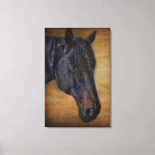 Black Horse Portrait on Rustic Parchment effect Canvas Print