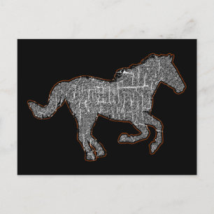 black horse postcard