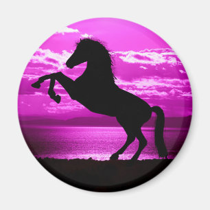 Black Horse Purple Sky and Water Magnet