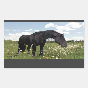 Black Horse Sticker