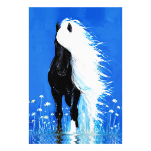 Black Horse White Mane Walking on Water Photo Print
