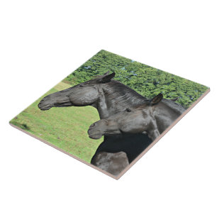 Black Horses in Sunlit Field Tile