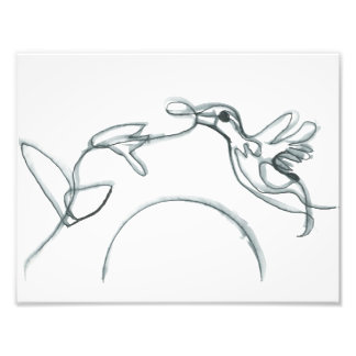 Black Hummingbird Photo Print