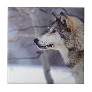 Black Husky Dog Products Tile