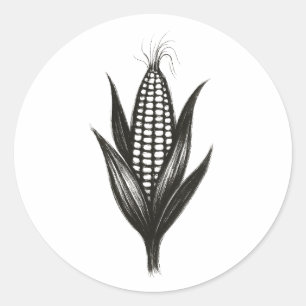 Black Ink Corn Illustration – Harvest Design on Classic Round Sticker