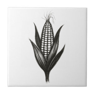 Black Ink Corn Illustration – Harvest Design on  Tile