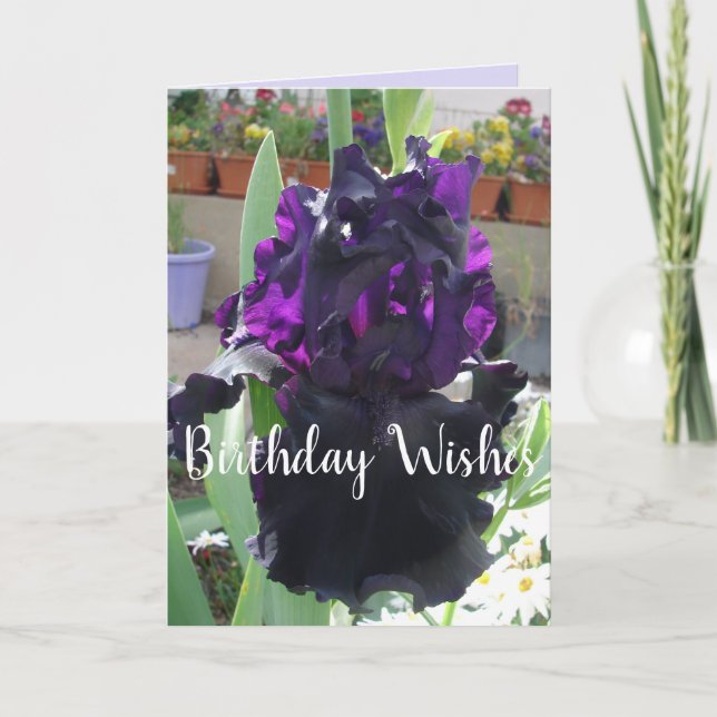 Black Iris Flower Floral Photo Love Birthday Card (Front)