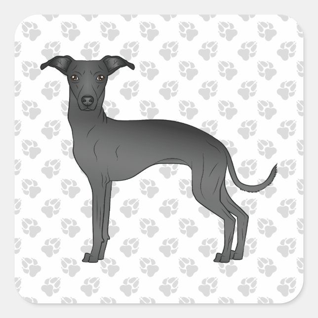 Black Italian Greyhound Cute Cartoon Dog With Paws Square Sticker (Front)