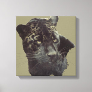Black Jaguar Canvas Print