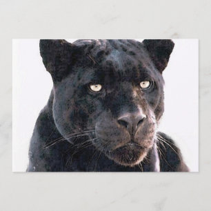 Black Jaguar Invitation
