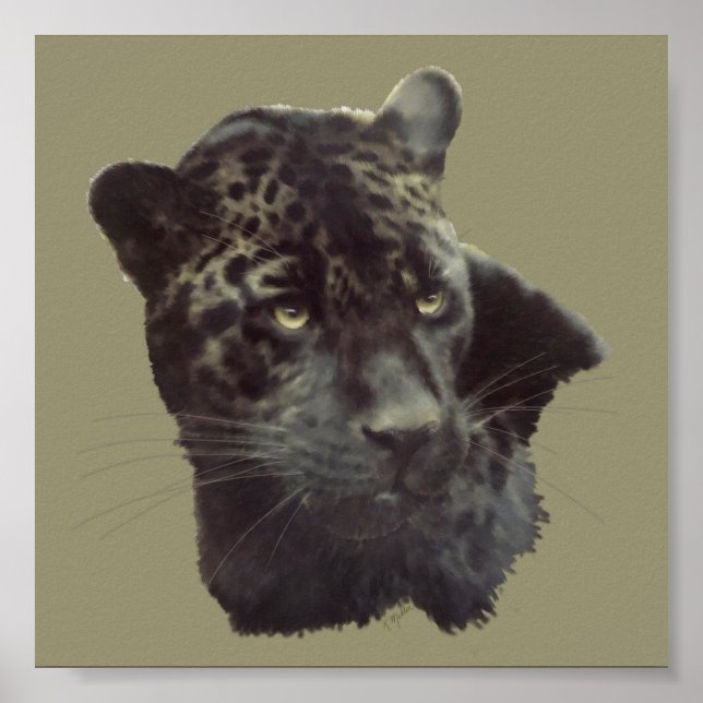 Black Jaguar Poster (Front)
