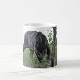 Black Jaguar Stalking Mug Panoramic Image