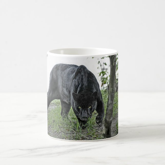 Black Jaguar Stalking Mug Panoramic Image (Center)