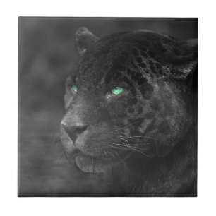 Black Jaguars Emerald Gaze Tile