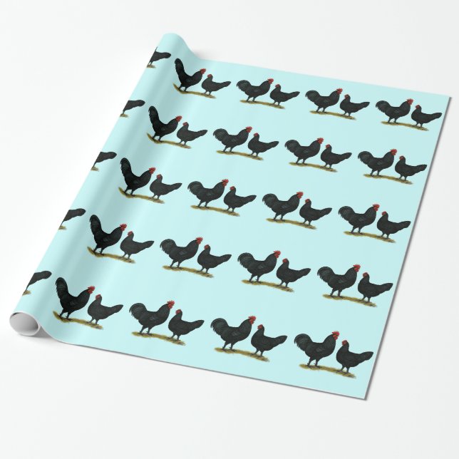 Black Java Chickens Wrapping Paper (Unrolled)