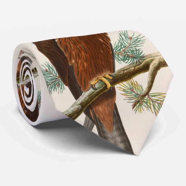 Black Kite Hawk John Gould Birds of Great Britain Tie (Rolled)