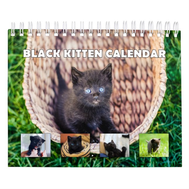Black Kitten  Calendar (Cover)