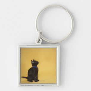 Black kitten in collar keychain