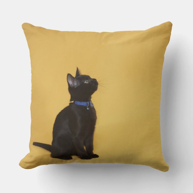Black kitten in collar throw pillow (Front)