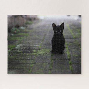 Black Kitten Jigsaw Puzzle