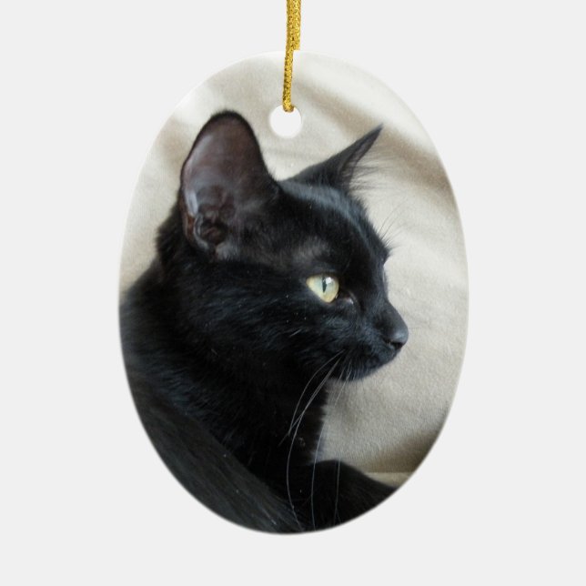 Black kitten ornament (Front)