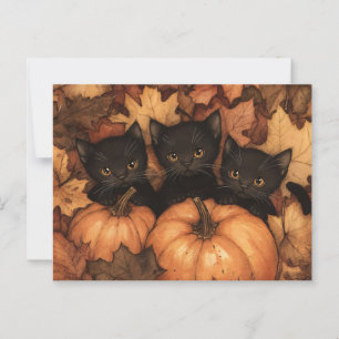 Black Kitten Trio Illustration Postcard