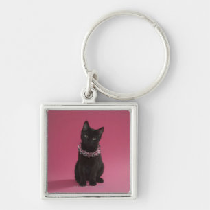 Black kitten wearing jewelled necklace keychain