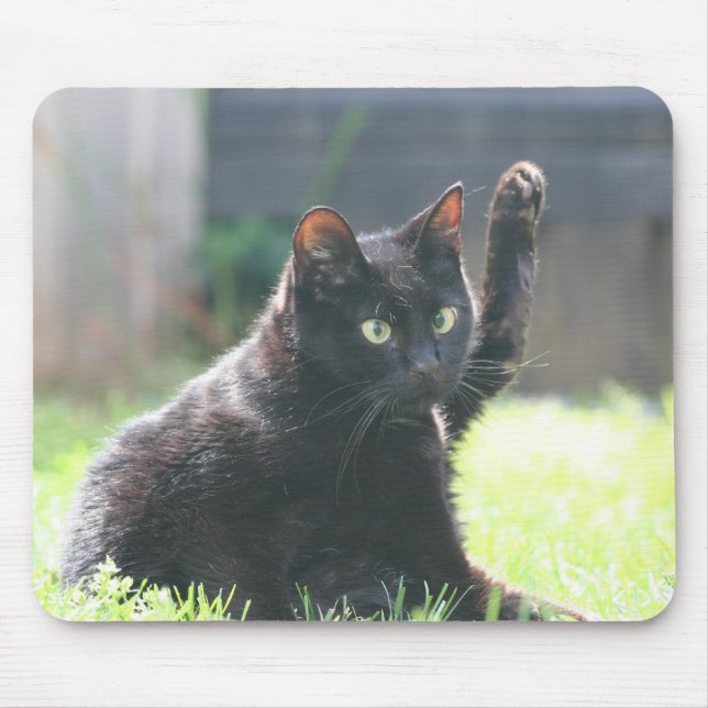 Black Kitty Cat Mouse Pad (Front)