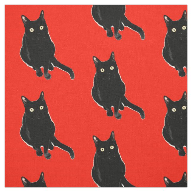Black Kitty Cat Photography Fabric (Swatch)