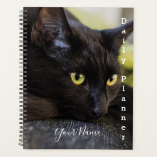Black Kitty - Daily Planner- HAMbWG Planner