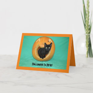 Black Kitty en Citrouille Carte de voeux Halloween