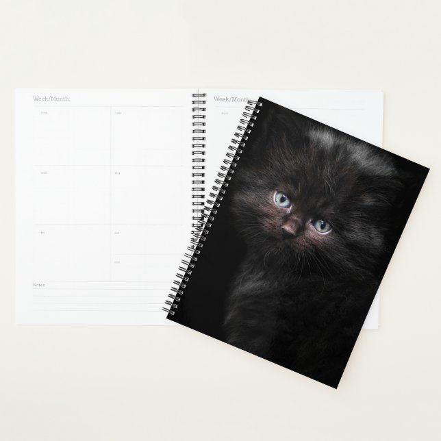 Black Kitty Planner (Display)