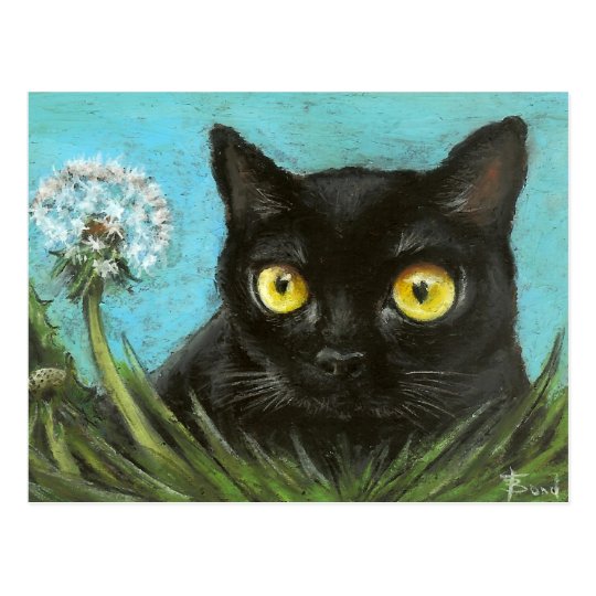 Black kitty postcard