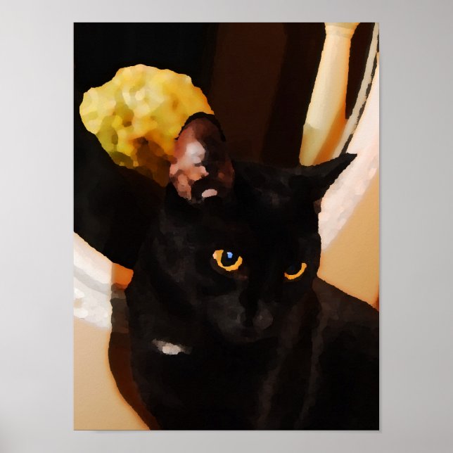 Black Kitty Poster (Front)