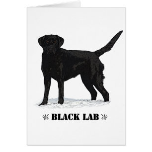 Black Lab