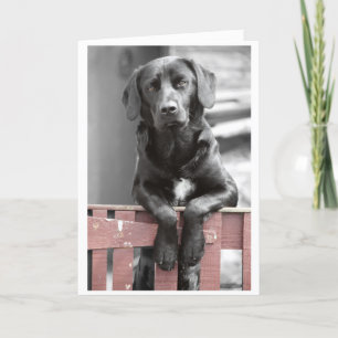 Black Lab à la carte de voeux Red Gate