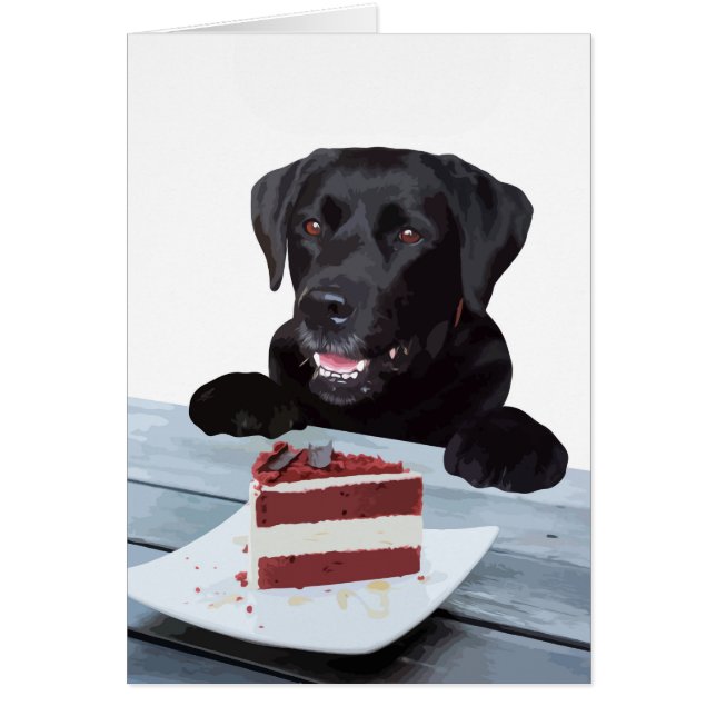 Black Lab All Occasion Card - Dog Cake Birthday (Front)