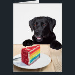 Black Lab All Occasion Card - Dog Cake Birthday<br><div class="desc">Black Lab All Occasion Card - Dog Cake Birthday
This cutie will sure make someone's day !
Perfect card for any occasion ,  Birthday ,  Thank You ,  add a personal message .</div>