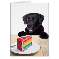 Black Lab All Occasion Card - Dog Cake Birthday
