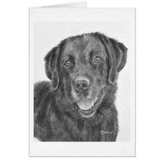 Black Lab Bandit